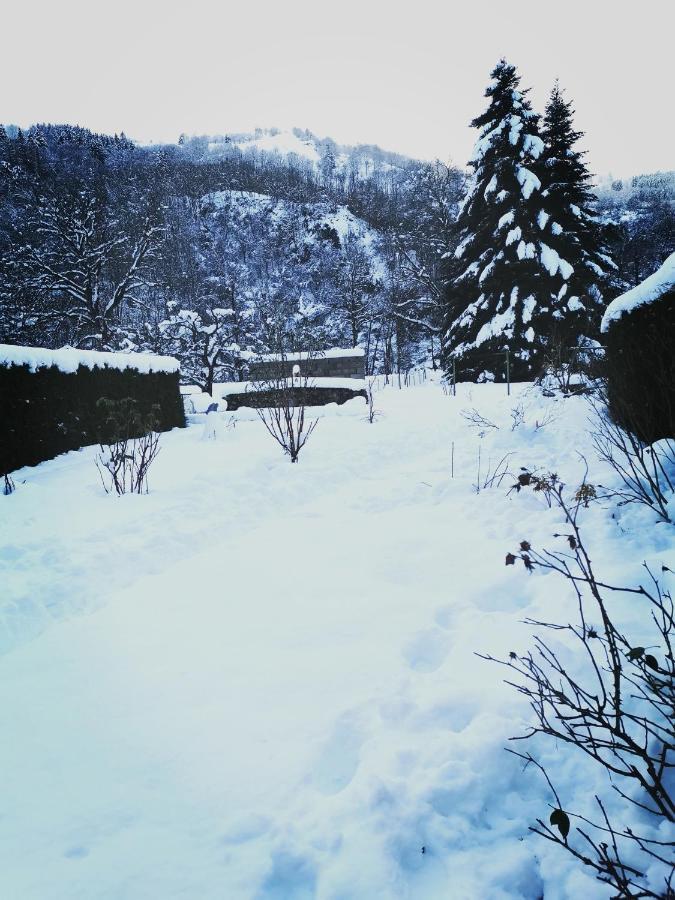 Carpe Diem - Cote-Montagnes Oderen Buitenkant foto